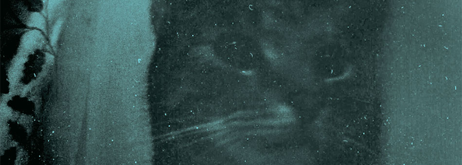 ithaca-l